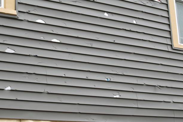 Best Steel Siding Installation  in Del City, OK